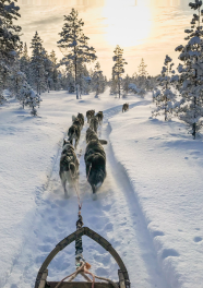 Lapland adventure